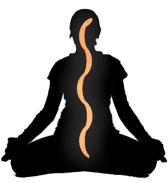Awakening Your Kundalini Energy Ananda Sangha Worldwide