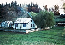 Guest House 1980s