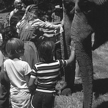 Children and elephants at India Faire