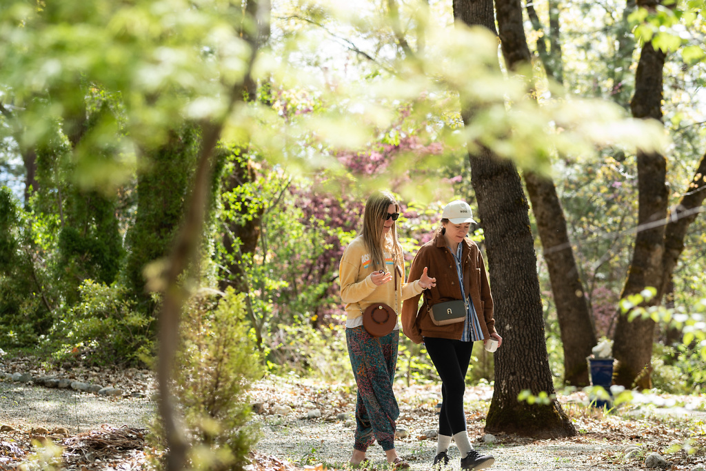 Two woman walking in nature, engaged in conversation on a sunny day.