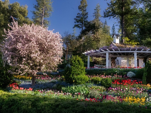 Crystal Hermitage Gardens