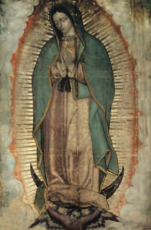 Our Lady of Guadalupe Story 