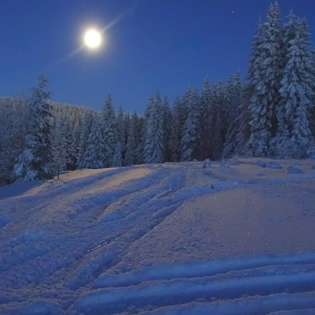 Christmas eve and the stillness of snow and the starry night sky. 