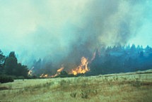 Wildland Fire 1976