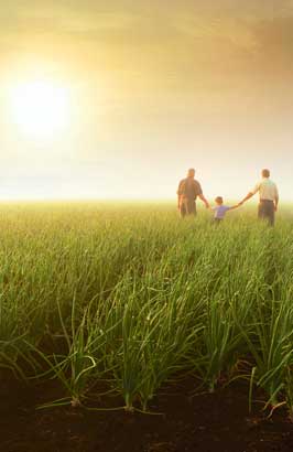 Man, Women and Child holding hands in a meadow