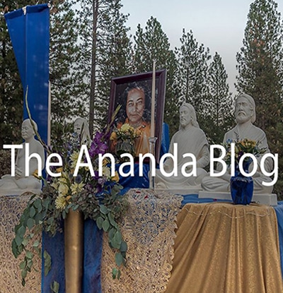 The Ananda Blog