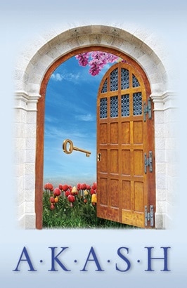A big arched wooden door opening into a field of tulips and blue sky, a golden key floats in the air