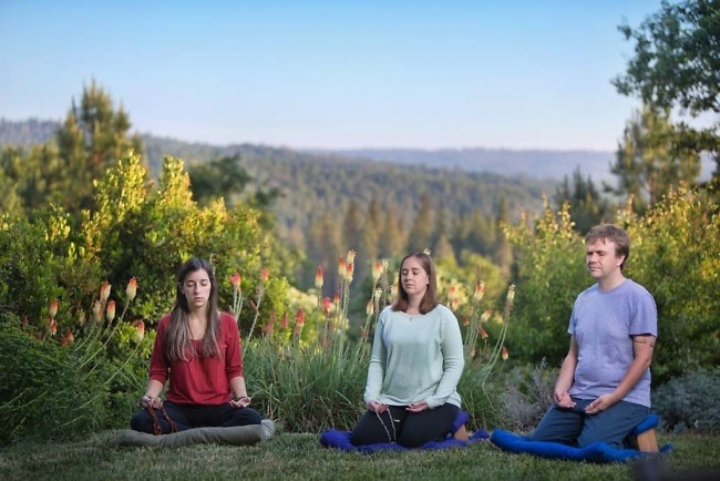 Group meditation outdoors