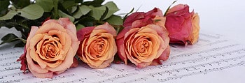 Orange roses lying on sheet music