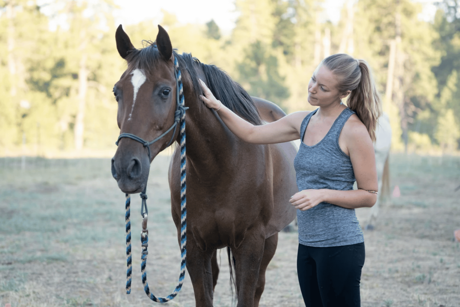 Equine Discovery Session