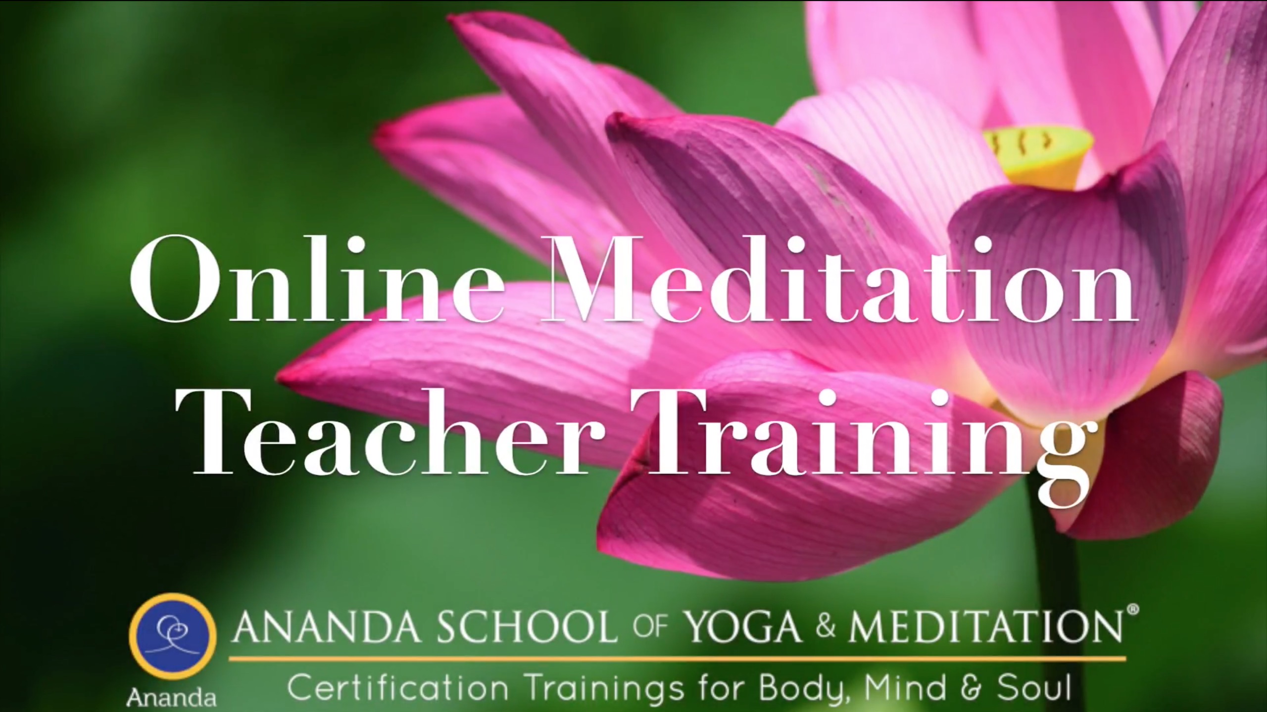 Ananda, Indian Philosopher, Meditation Teacher & Spiritual Guide